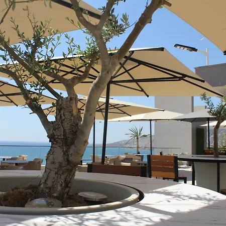 The Queen's Lion Premium Sarandë