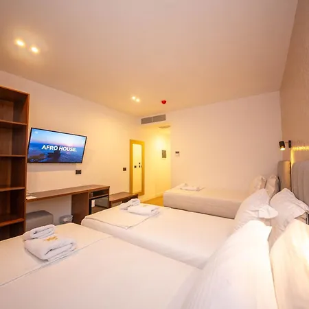 The Queen's Lion Premium