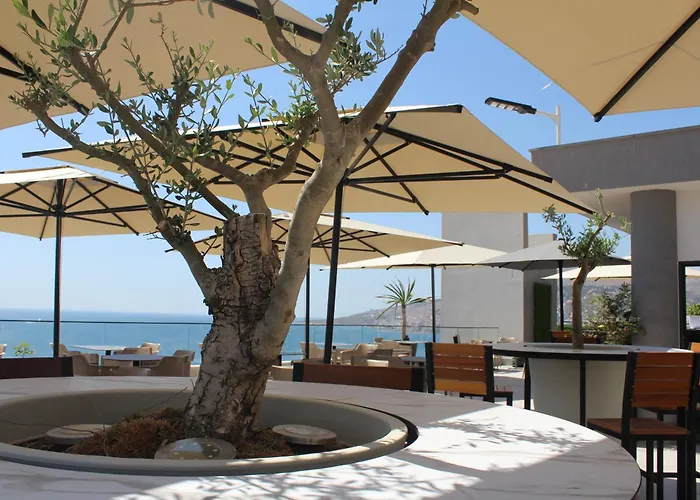 The Queen's Lion Premium Saranda