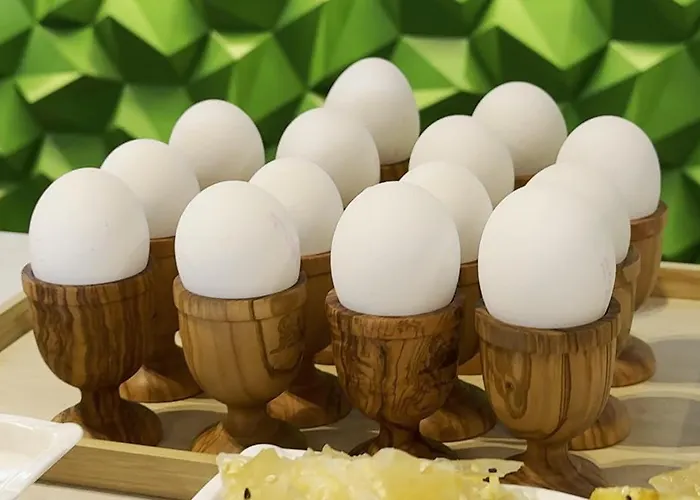 The Queen's Lion Premium Hotel