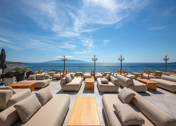 The Queen's Lion Premium *